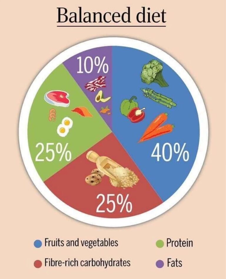 Top 7 Healthy Eating Tips for Sustainable Weight Loss And Proper Meal Plan